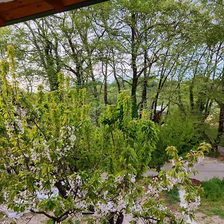 Rosso דירה *